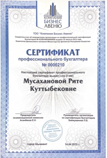 Сертификат профессионального бухгалтера № 0000210, 2015 год